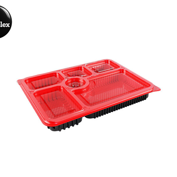 Six houses in a container